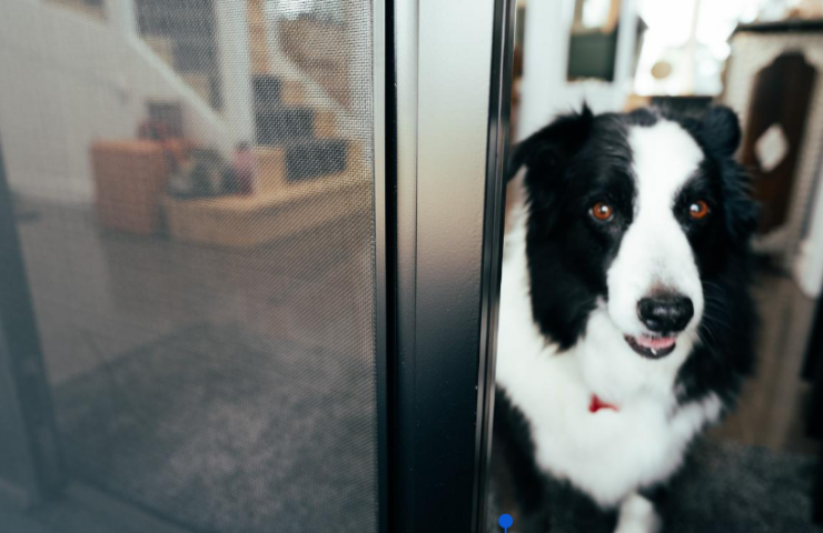 Retractable Flyscreens5